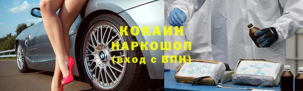 прущие грибы Абинск