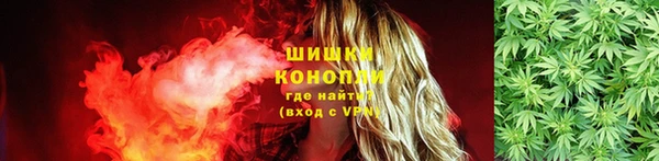 прущие грибы Абинск
