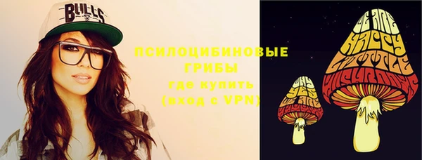 прущие грибы Алексеевка
