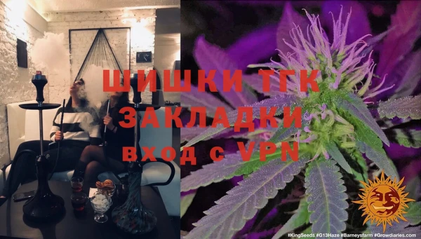 прущие грибы Абинск