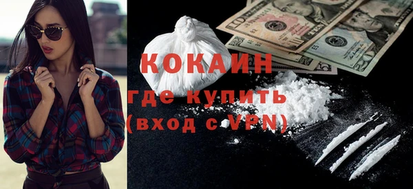прущие грибы Абинск