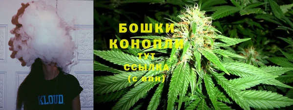 прущие грибы Алексеевка
