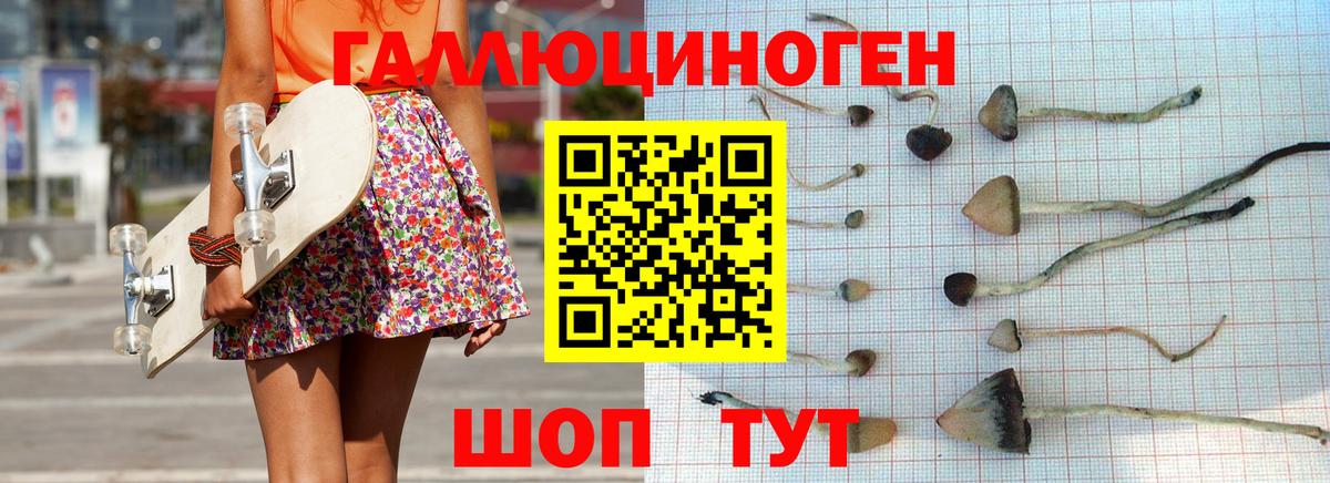 Омск  Псилоцибиновые грибы Magic Shrooms  Вход с VPN  Псилоцибиновые грибы Cubensis 